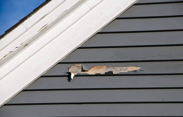 Reliable Venus, TX Junk Removal Solutions